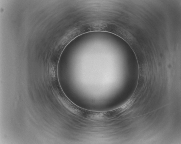 X0000057060086200509091208