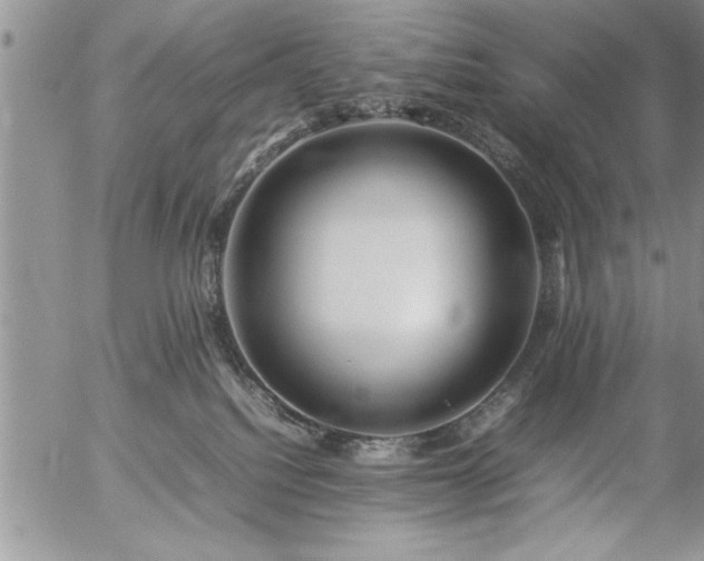 X0000057060088200509091208