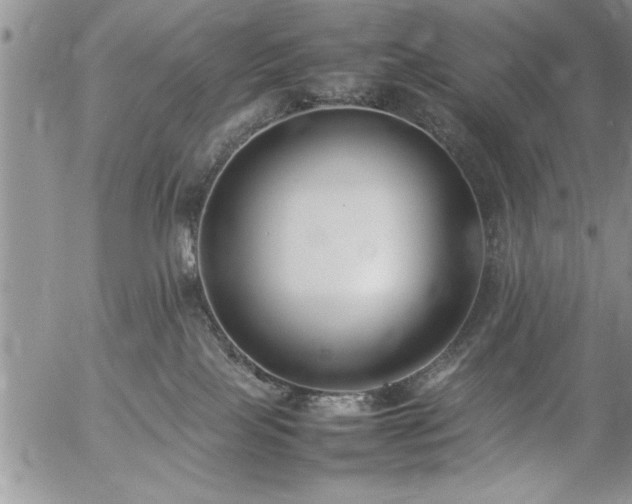 X0000057060089200509091208