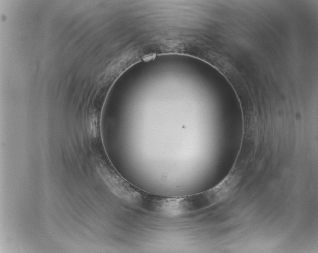 X0000057060090200509091208