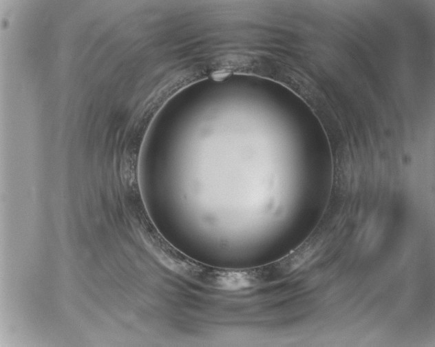 X0000057060091200509091208