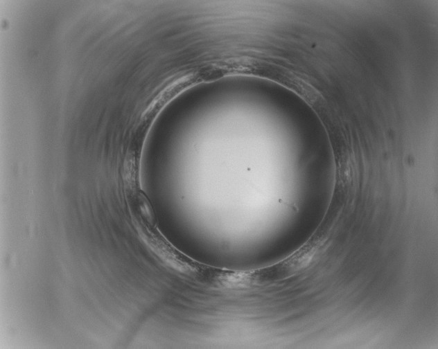 X0000057060092200509091208