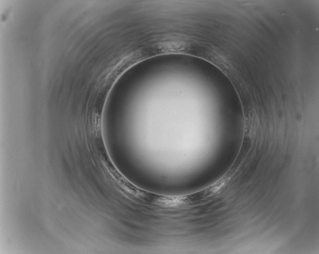 X0000057060093200509091208