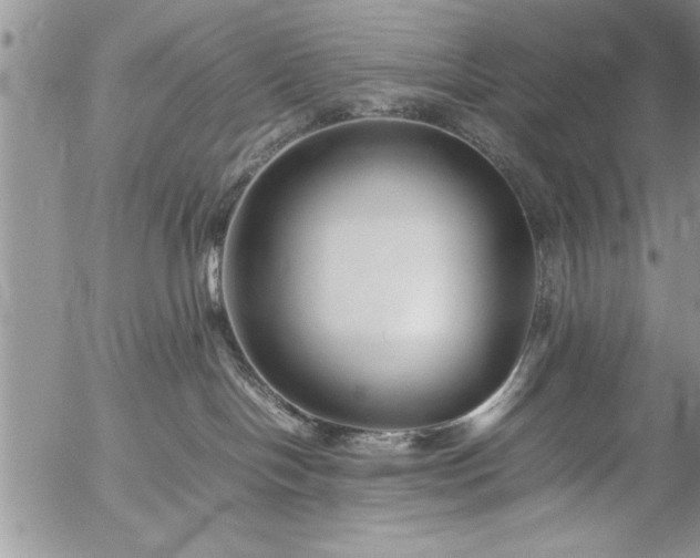 X0000057060094200509091208