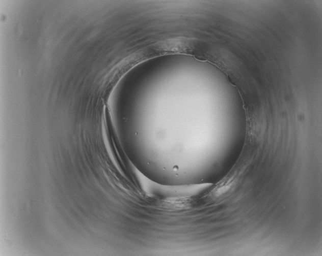 X0000057060095200509091208