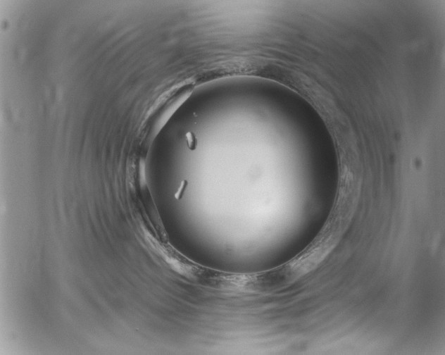 X0000057060096200509091208