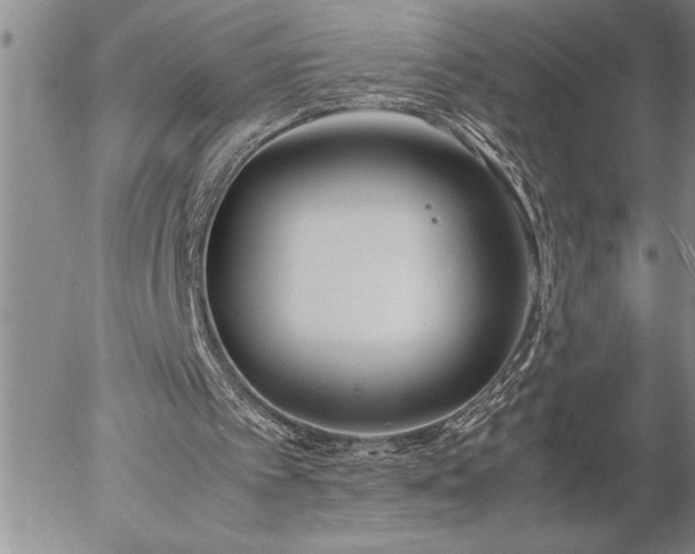 X0000057060097200509091207