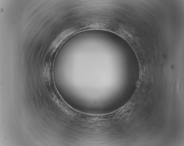 X0000057060098200509091207