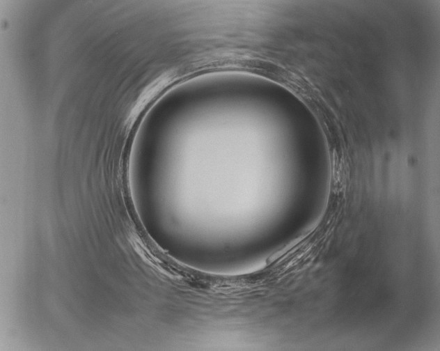 X0000057060099200509091207