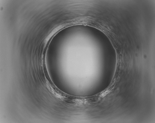 X0000057060100200509091207