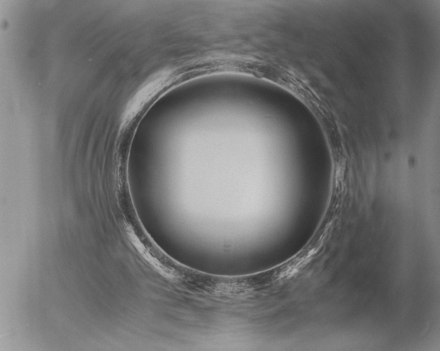 X0000057060101200509091207