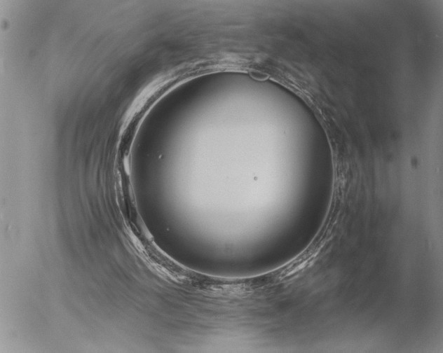 X0000057060102200509091207