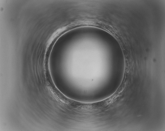 X0000057060104200509091207