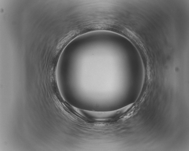 X0000057060105200509091207