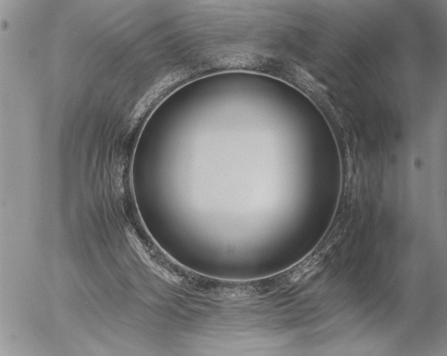 X0000057060106200509091207