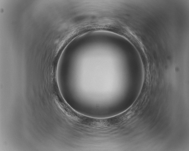 X0000057060107200509091207