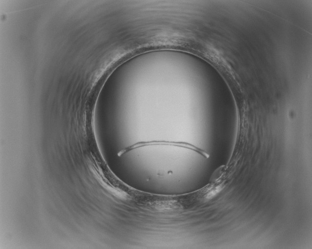 X0000057060108200509091207