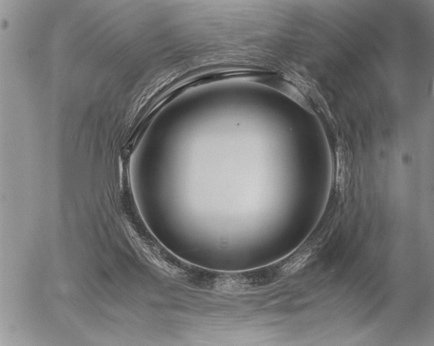 X0000057060109200509091207