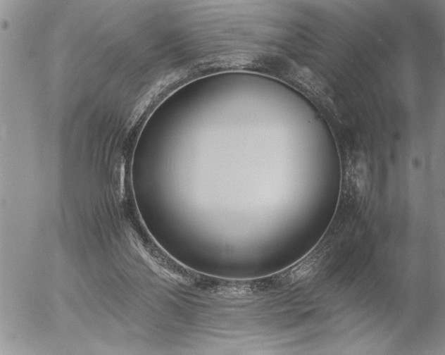 X0000057060110200509091207