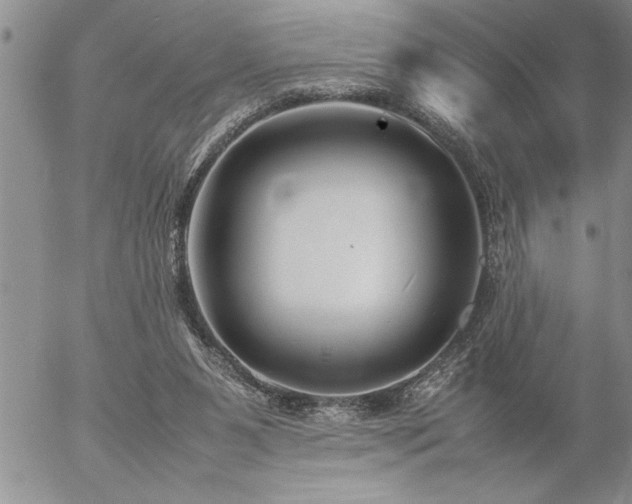 X0000057060111200509091207