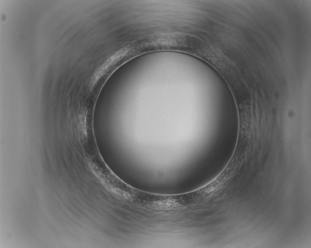 X0000057060112200509091207