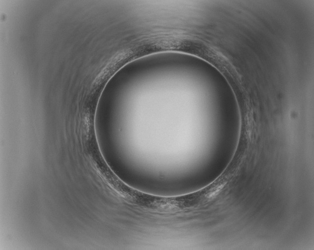 X0000057060113200509091207