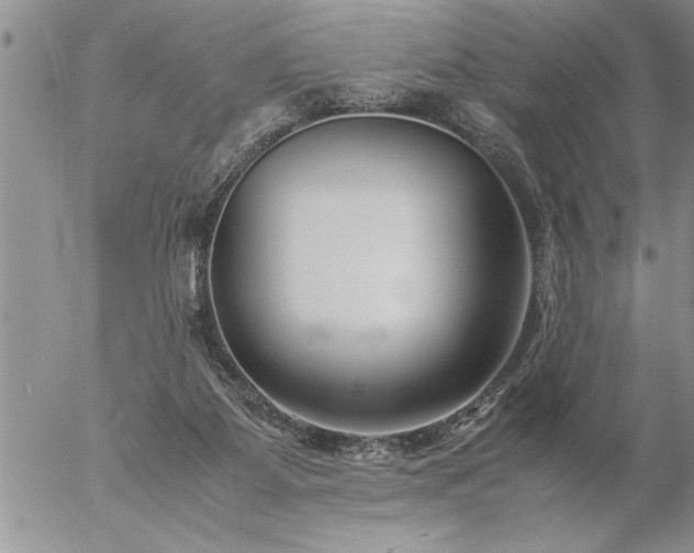 X0000057060115200509091207