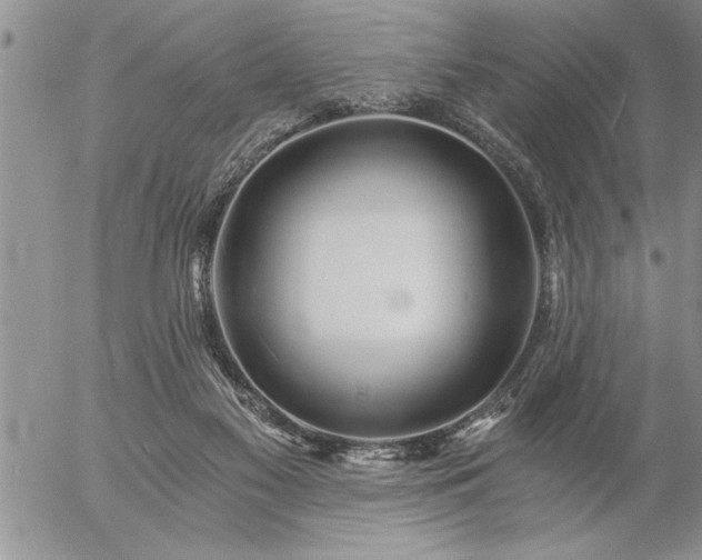 X0000057060117200509091207