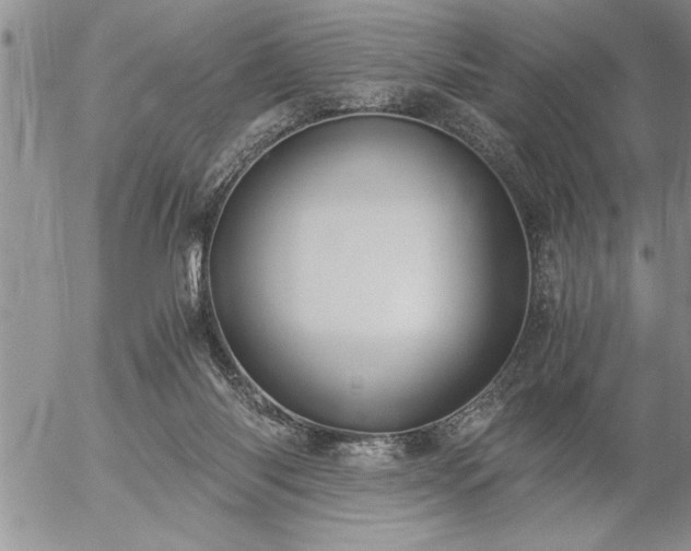 X0000057060118200509091207