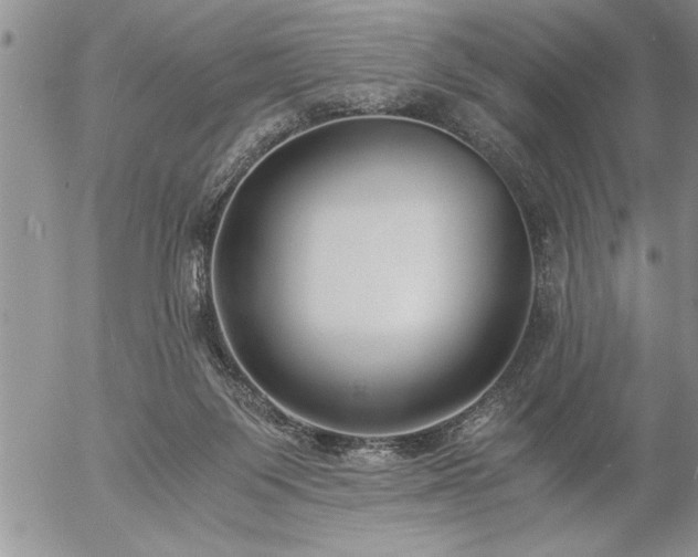 X0000057060119200509091207