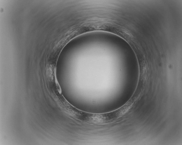 X0000057060121200509091207