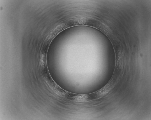 X0000057060122200509091207