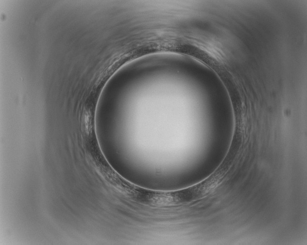 X0000057060123200509091207