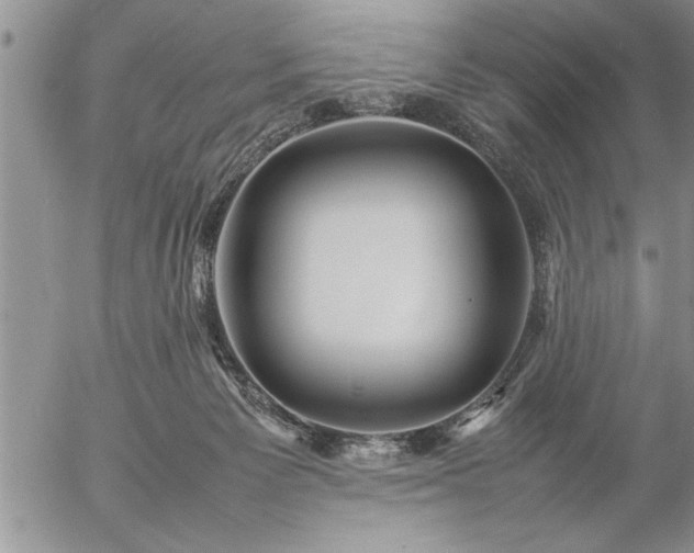 X0000057060125200509091207