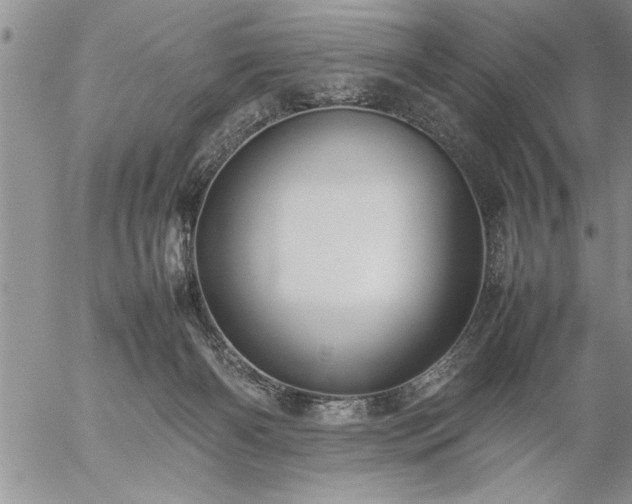 X0000057060126200509091207