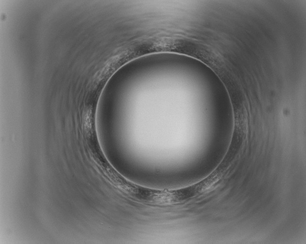 X0000057060127200509091207