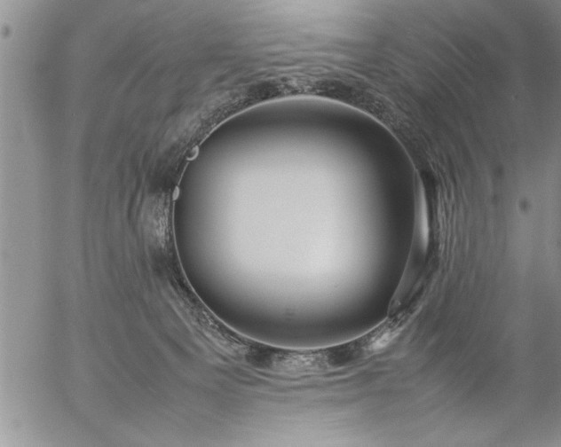 X0000057060129200509091207