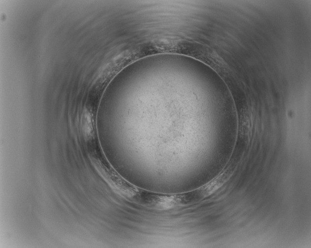 X0000057060130200509091206