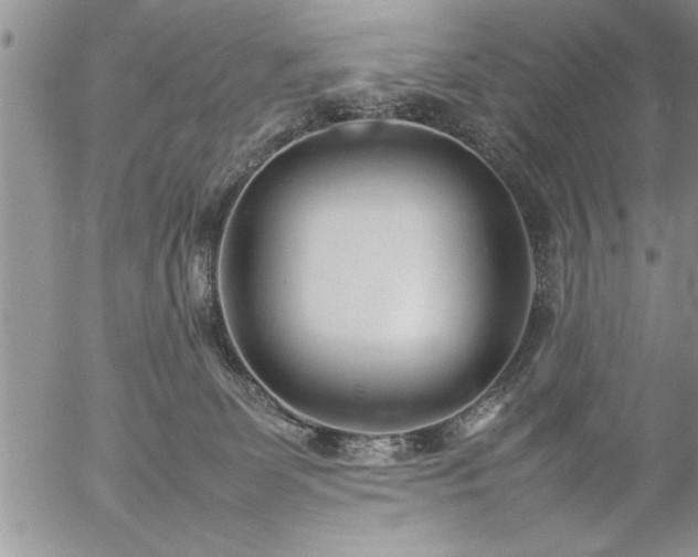 X0000057060131200509091206