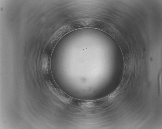 X0000057060132200509091206