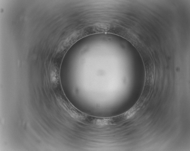 X0000057060134200509091206