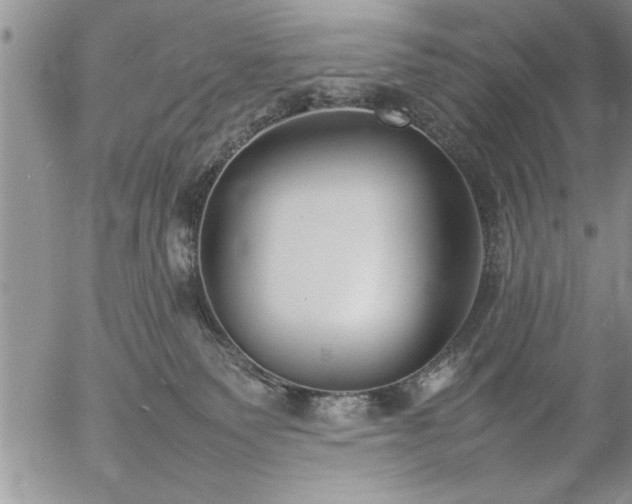 X0000057060135200509091206