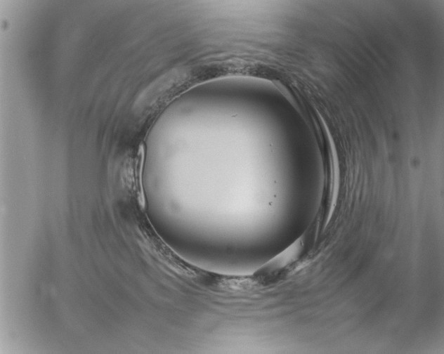 X0000057060137200509091206