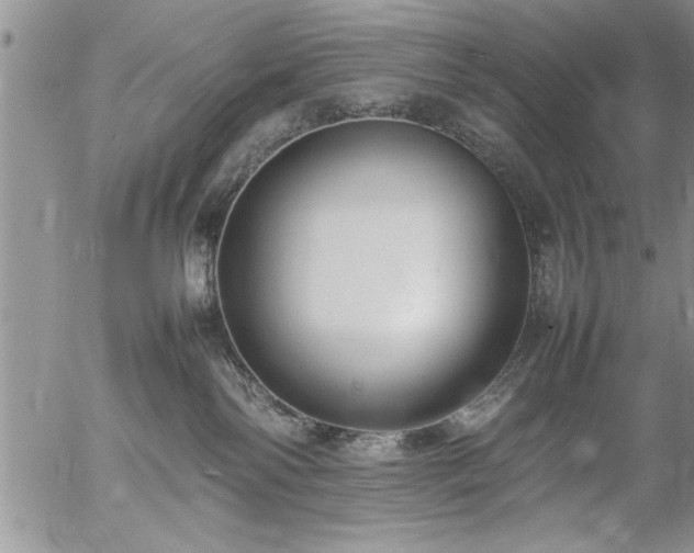 X0000057060138200509091206