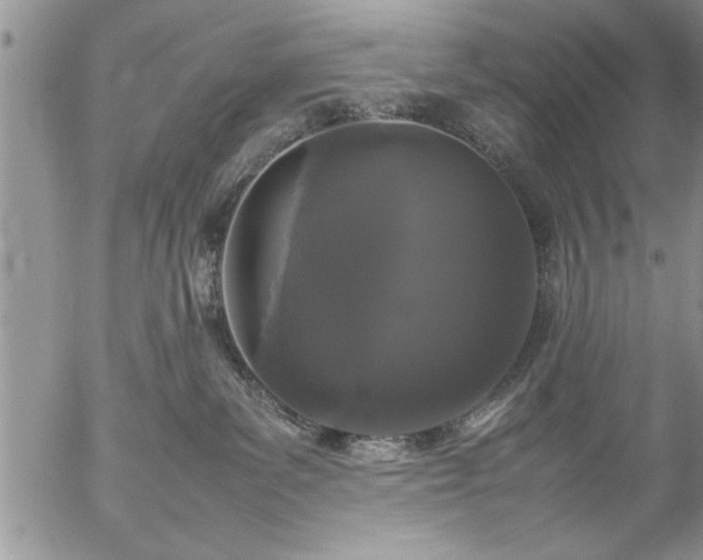 X0000057060139200509091206