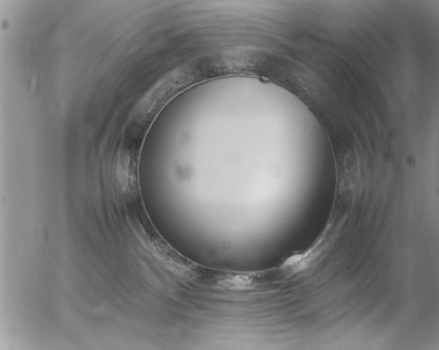 X0000057060140200509091206