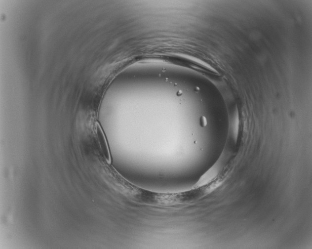 X0000057060141200509091206