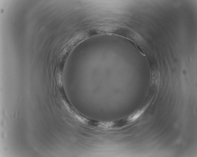 X0000057060143200509091206