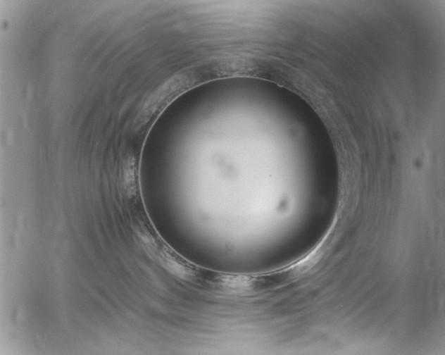 X0000057060144200509091206