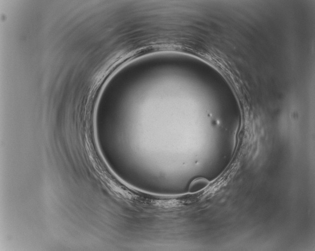 X0000057060145200509091205